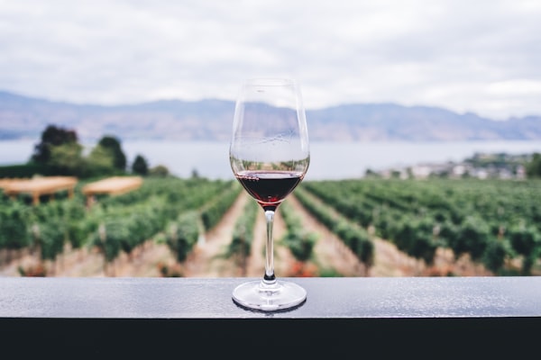 Wine cellar